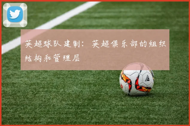英超球队建制：英超俱乐部的组织结构和管理层