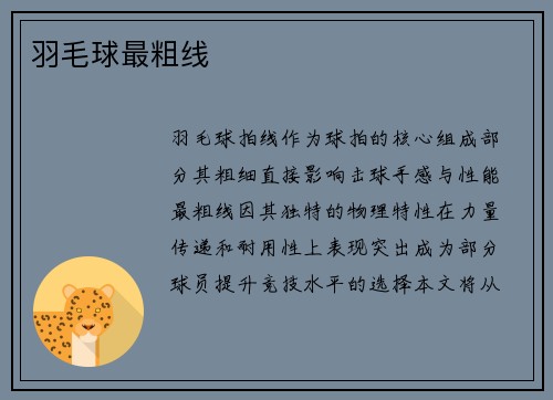 羽毛球最粗线